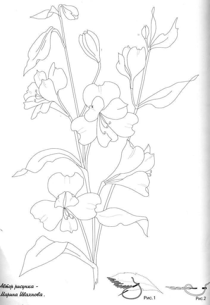 Alstroemeria Blossoms - outline for transfer