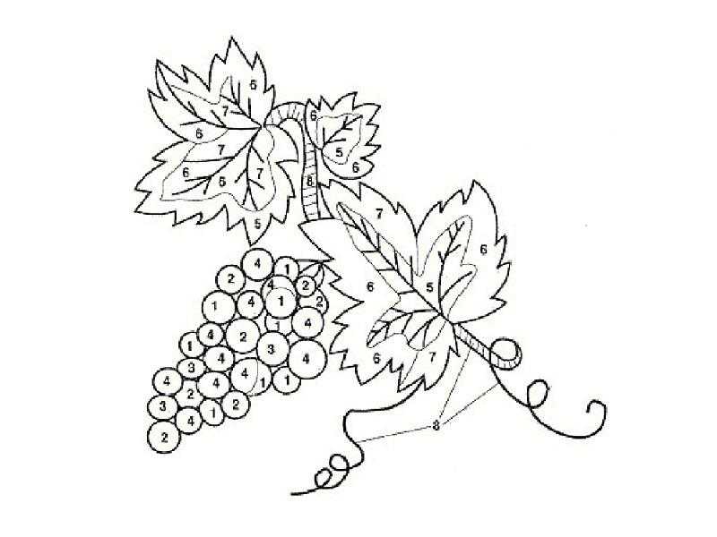 Grapes Satin Stitch Pattern - numbered color placement diagram