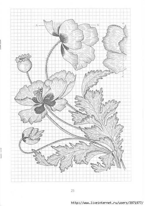 Poppies and Grapevine Motifs - image 27