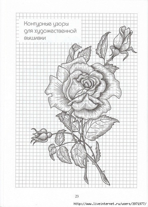 Poppies and Grapevine Motifs - image 17