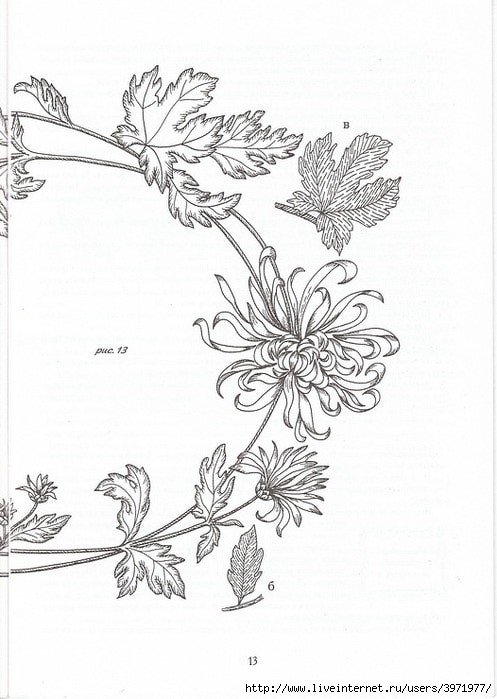 Poppies and Grapevine Motifs - image 49