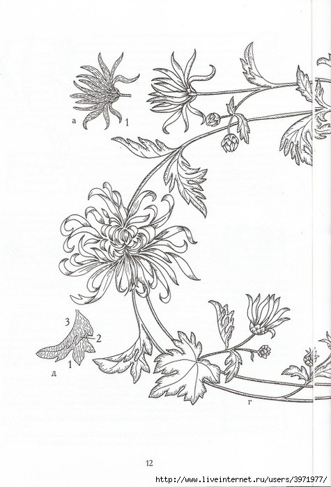 Poppies and Grapevine Motifs - chrysanthemum and butterfly outline