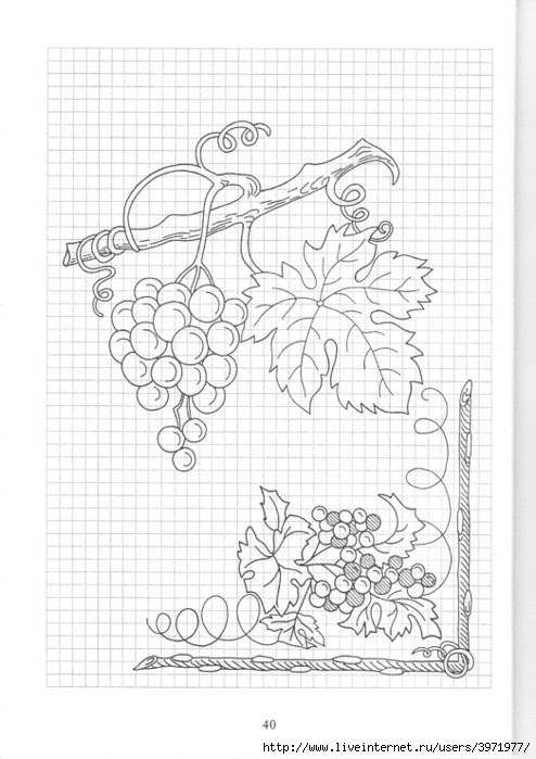 Poppies and Grapevine Motifs - grape cluster border outline
