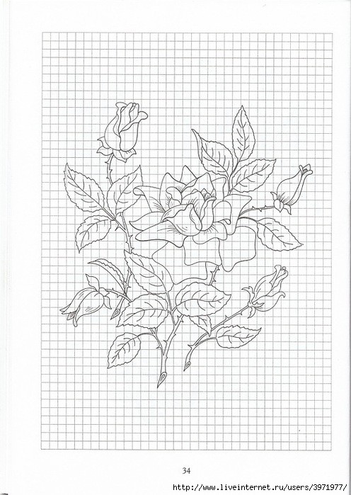 Poppies and Grapevine Motifs - image 67