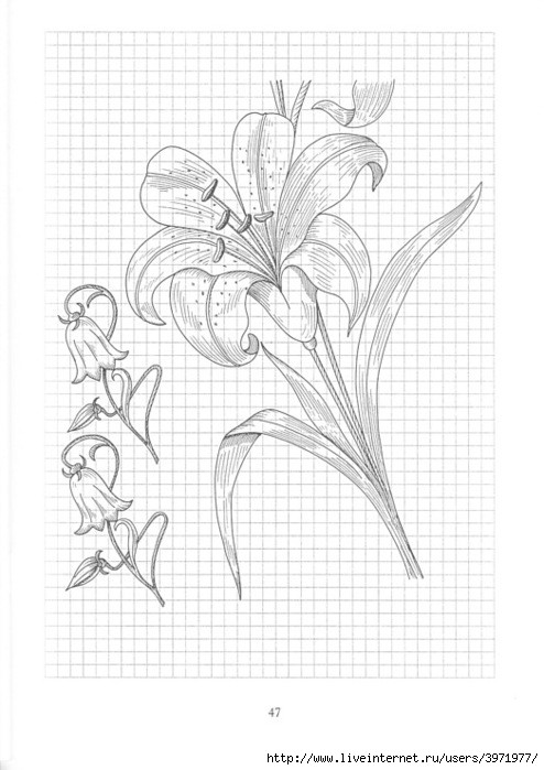 Poppies and Grapevine Motifs - image 70