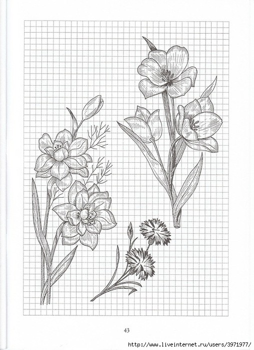 Poppies and Grapevine Motifs - image 78