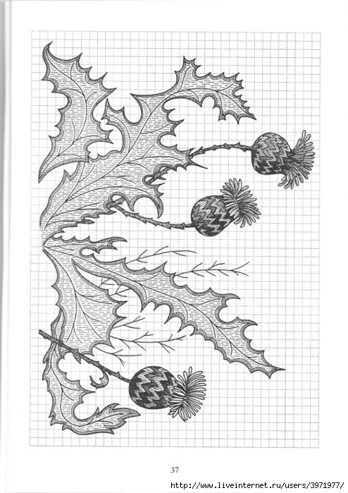 Poppies and Grapevine Motifs - image 80