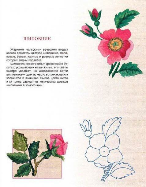 Вышивка гладью цветов  схема