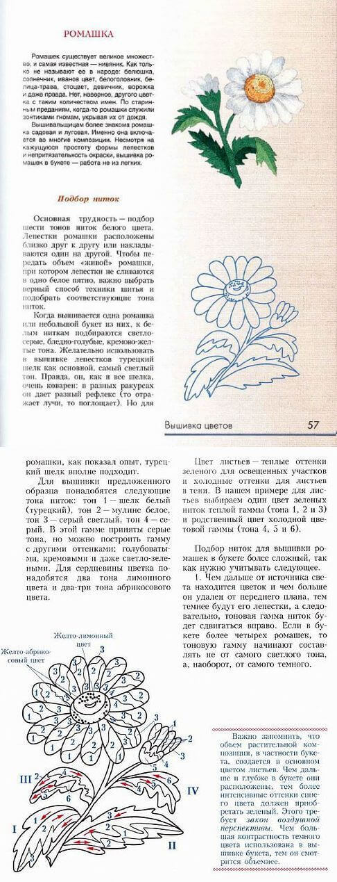 Вышивка гладью цветов  схема