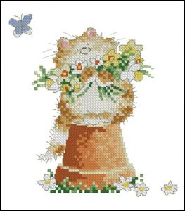 May Cat
