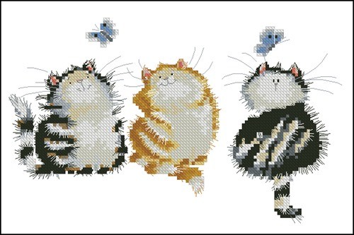 Caterflies