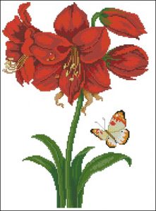Амариллис Амариллис