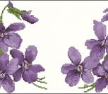 Helen's Violet Helen's Violet