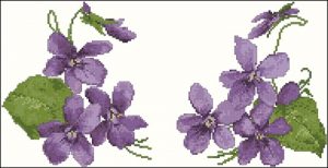 Helen's Violet Helen's Violet