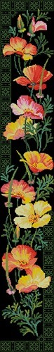 California Poppy