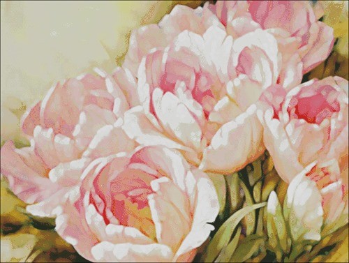Angelique Tulips