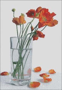 Poppies in a glass Poppies in a glass