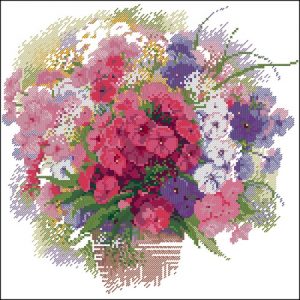 Флоксы Флоксы