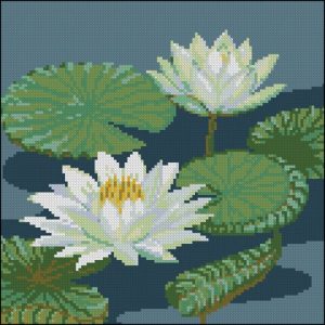White Water Lilies White Water Lilies