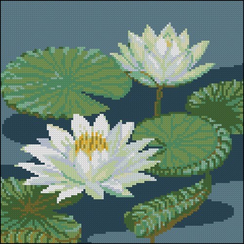 White Water Lilies
