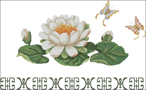 Lotus and Butterflies