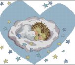 Baby Birth Sampler Baby Birth Sampler