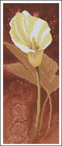 Calla Lily