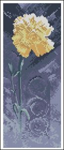 Single Carnation Single Carnation