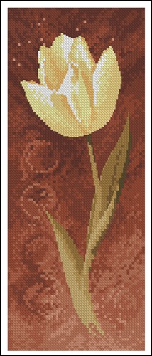 Tulip white