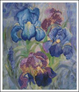 Iris-Wall Iris-Wall