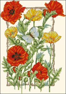 Perfect Poppies Perfect Poppies