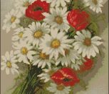 Daisies and Poppies Daisies and Poppies
