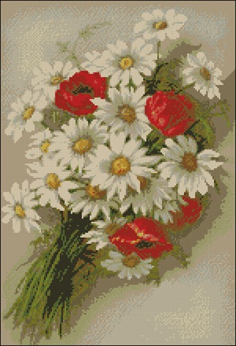 Daisies and Poppies