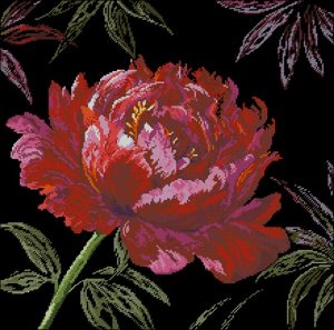 Well Worth Waiting For-Peony Well Worth Waiting For-Peony