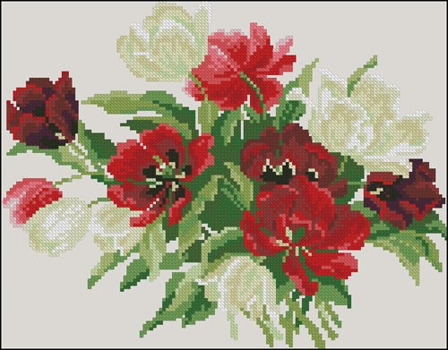 Red and White Tulip Bunch