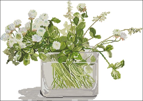 WHITE CLOVER