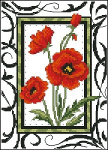 Blooming poppies Blooming poppies