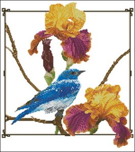 Bluebird Among Irises Bluebird Among Irises