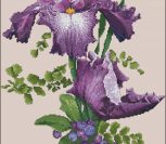 Purple Perfection Purple Perfection