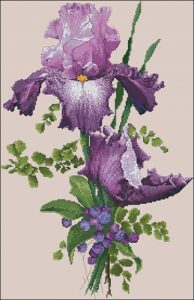 Purple Perfection Purple Perfection