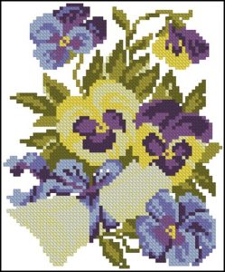 Pansies Pansies