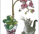 Orchid Kitty Orchid Kitty