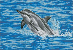0148PH-01 Dolphin