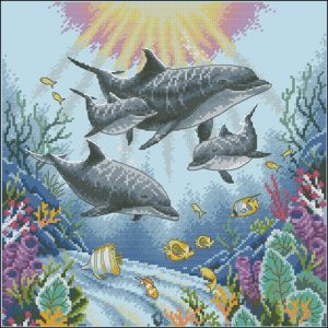 Dolphin Morning