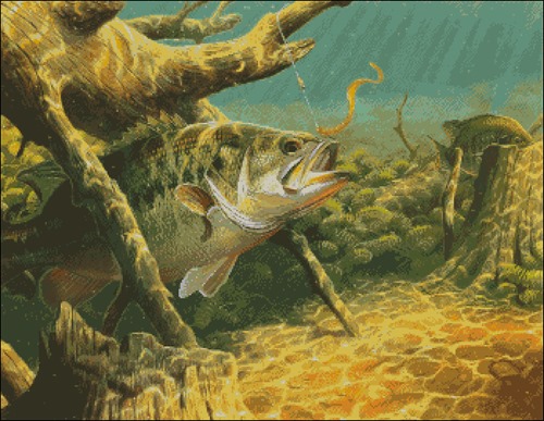 Fishing