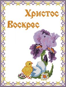 Цыпленок под ирисом Цыпленок под ирисом