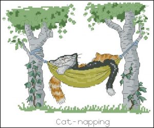 Cat napping