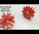 ВИДЕО: КАК СДЕЛАТЬ ПОТРЯСАЮЩИЙ ЦВЕТОК ИЗ БУМАГИ | beautiful paper flower ВИДЕО: КАК СДЕЛАТЬ ПОТРЯСАЮЩИЙ ЦВЕТОК ИЗ БУМАГИ | beautiful paper flower
