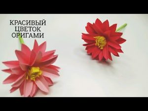 ВИДЕО: КАК СДЕЛАТЬ ПОТРЯСАЮЩИЙ ЦВЕТОК ИЗ БУМАГИ | beautiful paper flower ВИДЕО: КАК СДЕЛАТЬ ПОТРЯСАЮЩИЙ ЦВЕТОК ИЗ БУМАГИ | beautiful paper flower