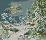 Winter Night Winter Night